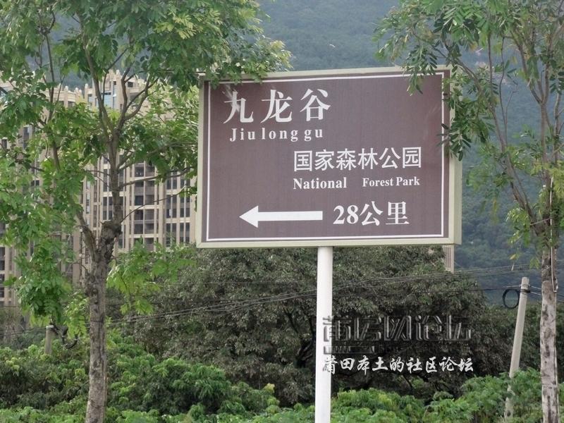 常盘路 (2).JPG