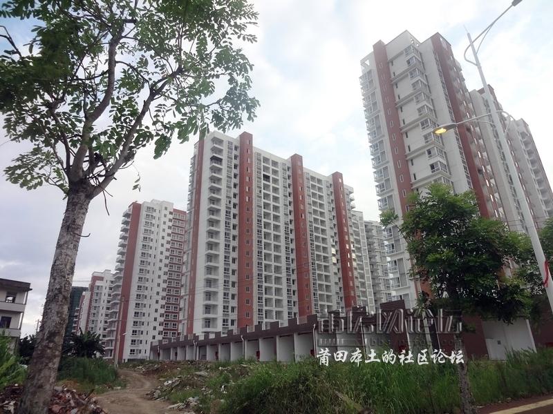 常盘路 (5).JPG