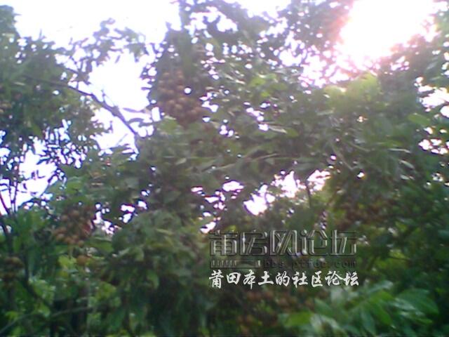 07.jpg