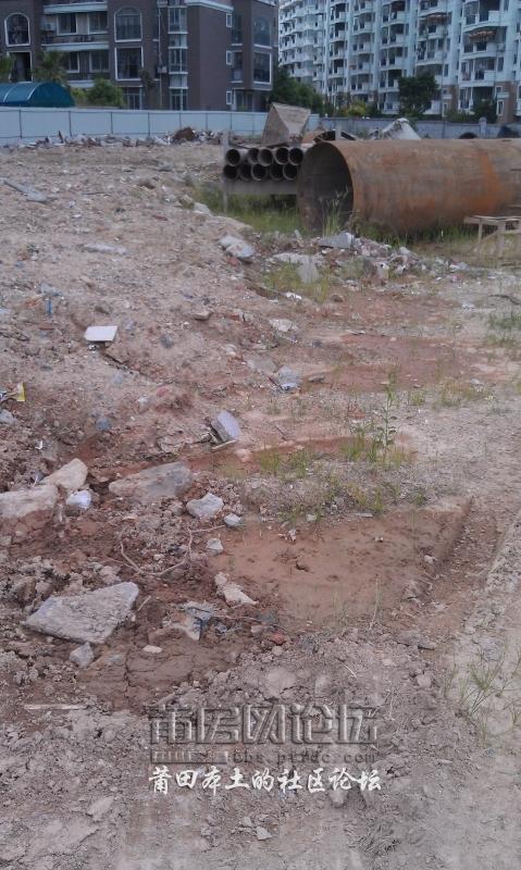 IMAG0084.jpg
