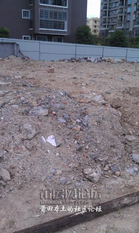 IMAG0085.jpg