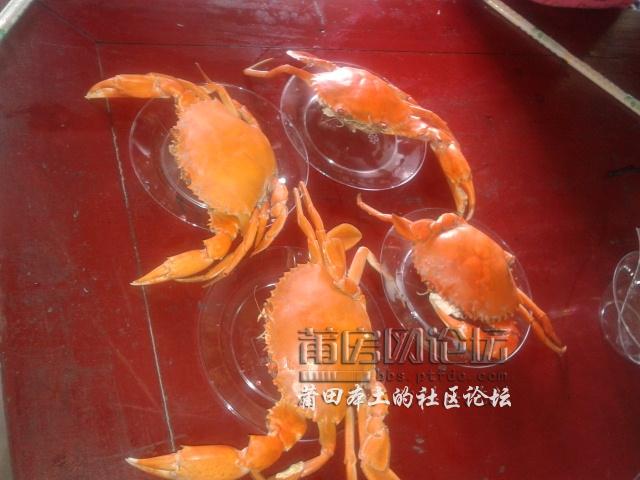 dcim@camera@20120812-123735_1511.jpg