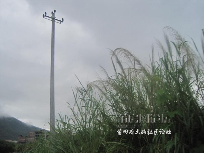 IMG_0319.JPG