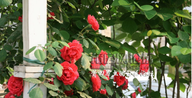 QQ截图20120924165338.png