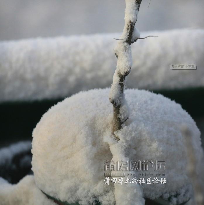 QQ截图20121110111026.jpg