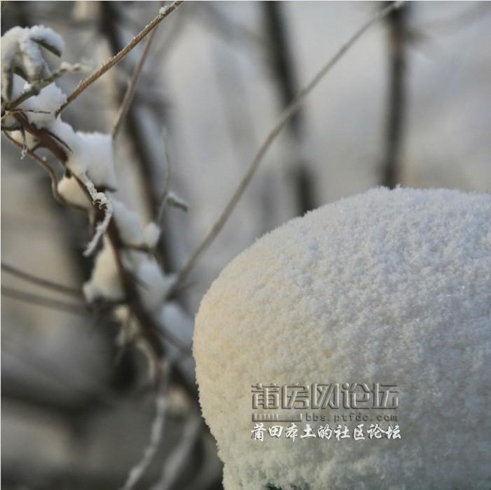 QQ截图20121110111056.jpg