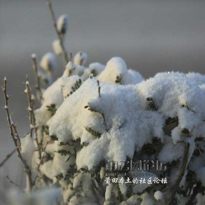 QQ截图20121110111137.jpg