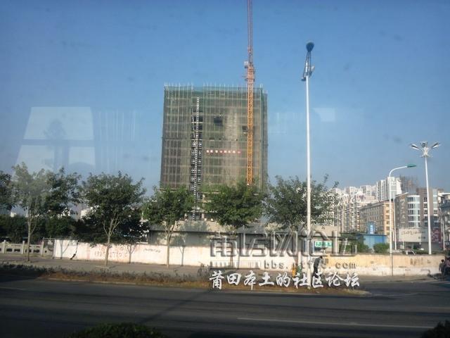 IMG_20121119_074444.jpg