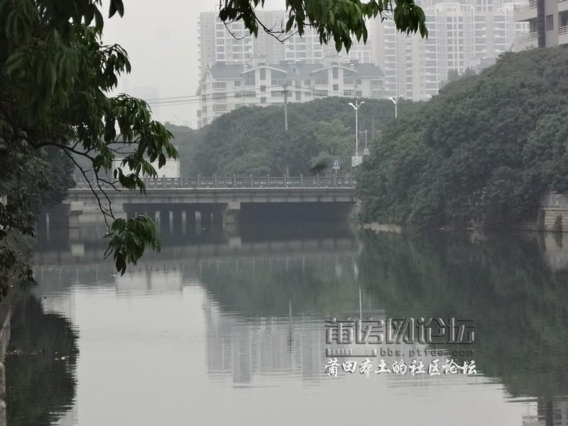 荔枝林 (24).jpg