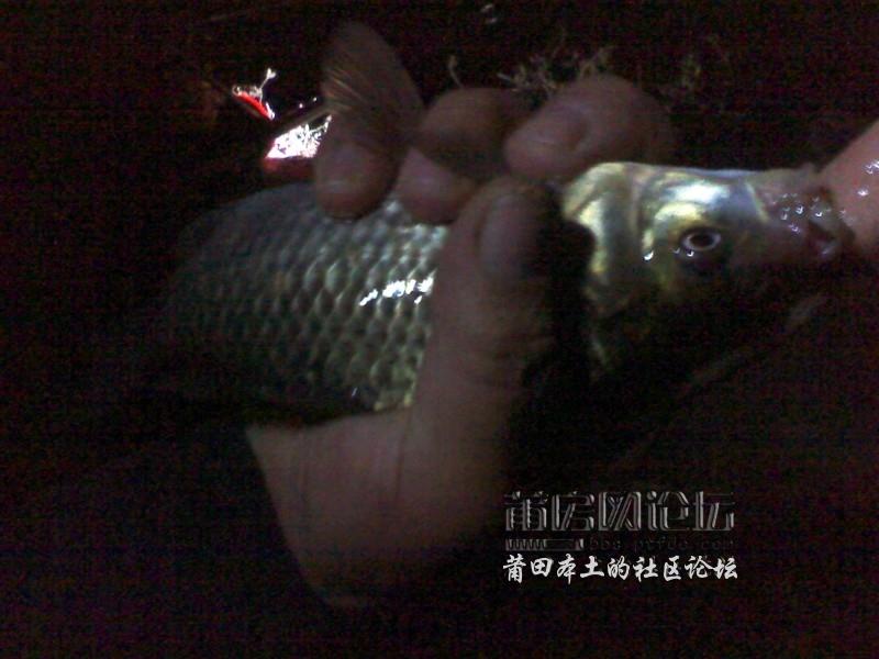 IMG_20121112_200020.jpg