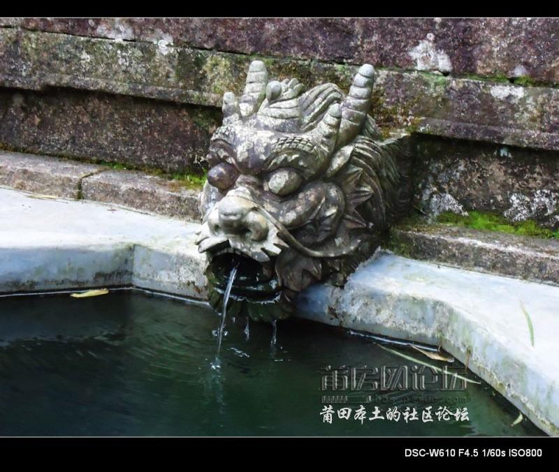 nEO_IMG_DSC01290.jpg
