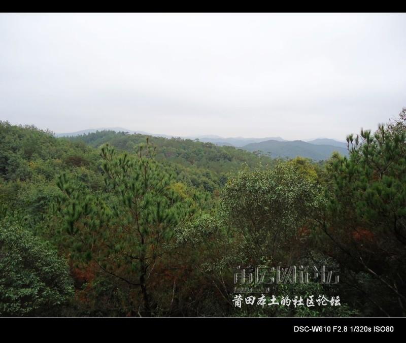 nEO_IMG_DSC01300.jpg