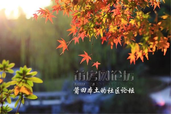 wKgB3FDm6U2AZXaWAAlsO__0IyY27_groupinfo_w600.jpg