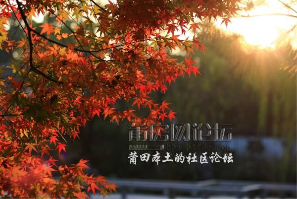 wKgB3FDm7b2ATvMIAAx-a96Mwww95_groupinfo_w600.jpg