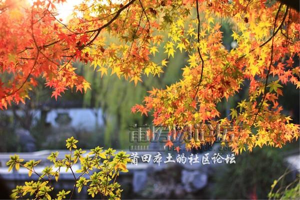 wKgB3FDm7UKALOfPABC5gTWhEwY59_groupinfo_w600.jpg