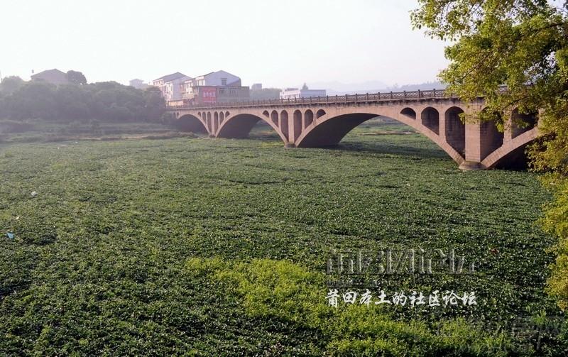 金凤桥~1.JPG