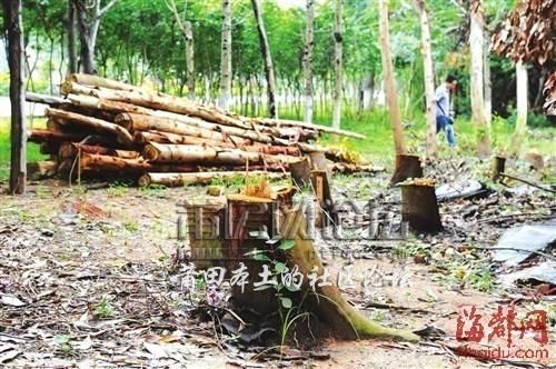 QQ图片20130522084734.jpg