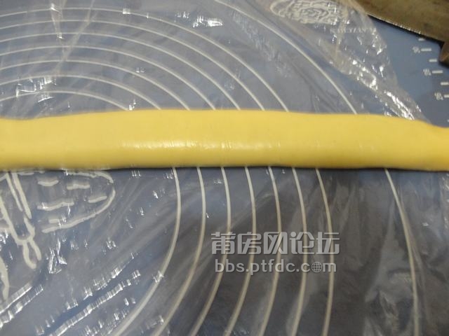 DSC00156.JPG