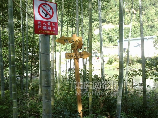 6_副本.jpg
