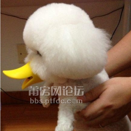 QQ截图20130722090906.jpg