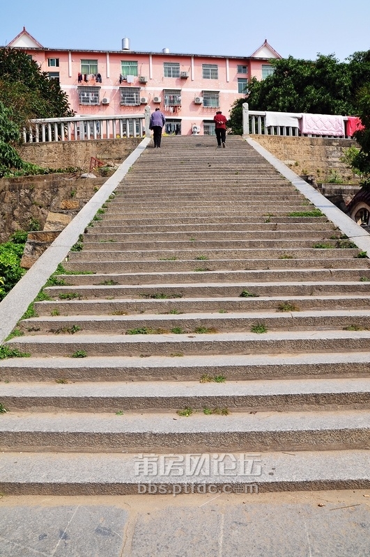 img49阶在涵江可谓家喻户晓，附近的居民每天早晨都会过来爬爬阶梯，锻炼身体.jpg