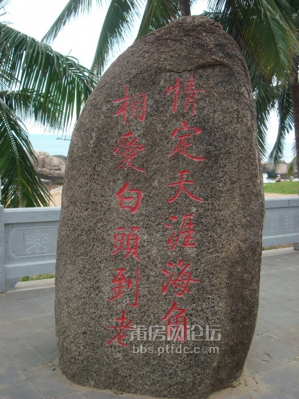 DSC06843.JPG