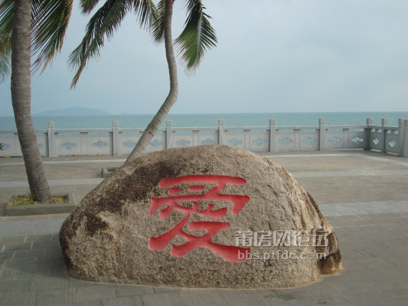 DSC06827.JPG