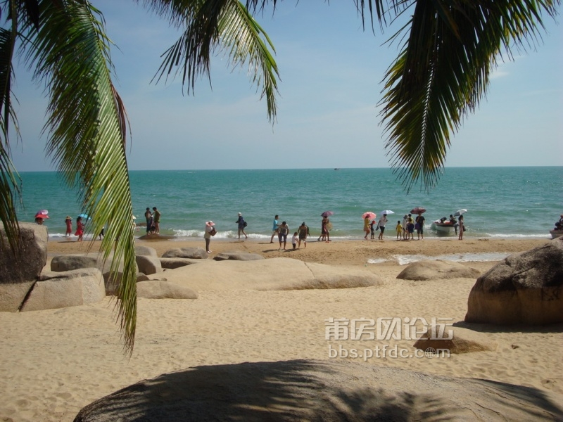 迷人的椰风海韵