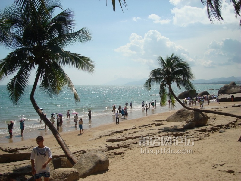 迷人的椰风海韵