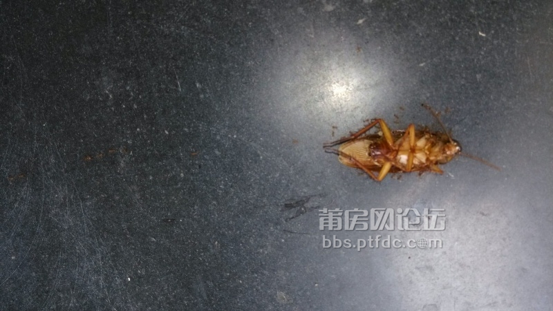 QQ图片20130820102743.jpg