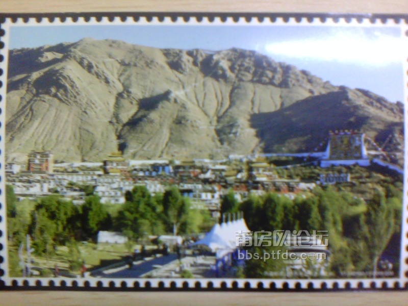 IMG_20130829_085229.jpg