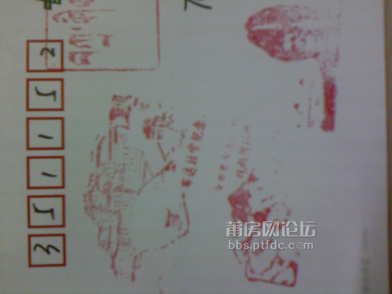 IMG_20130829_085246.jpg