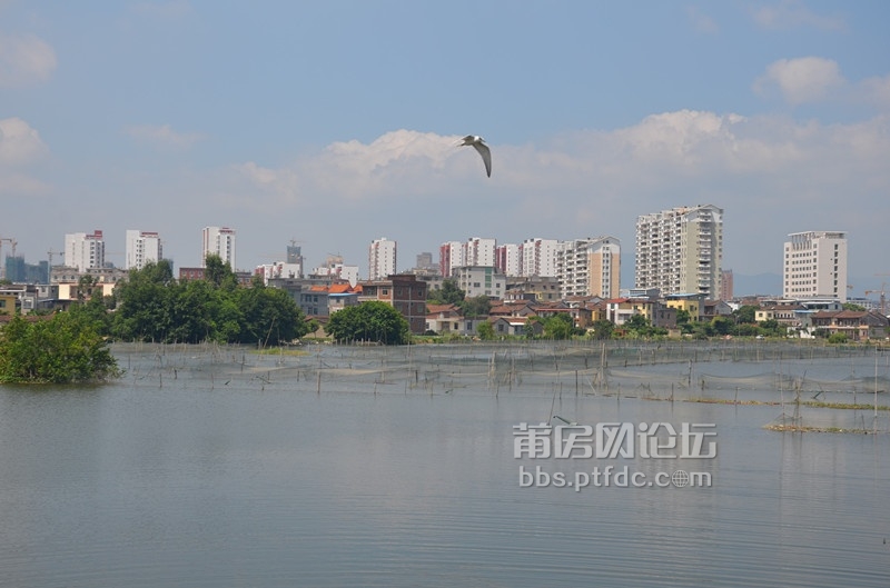 涵江区人民公园、望江河全景_副本.jpg