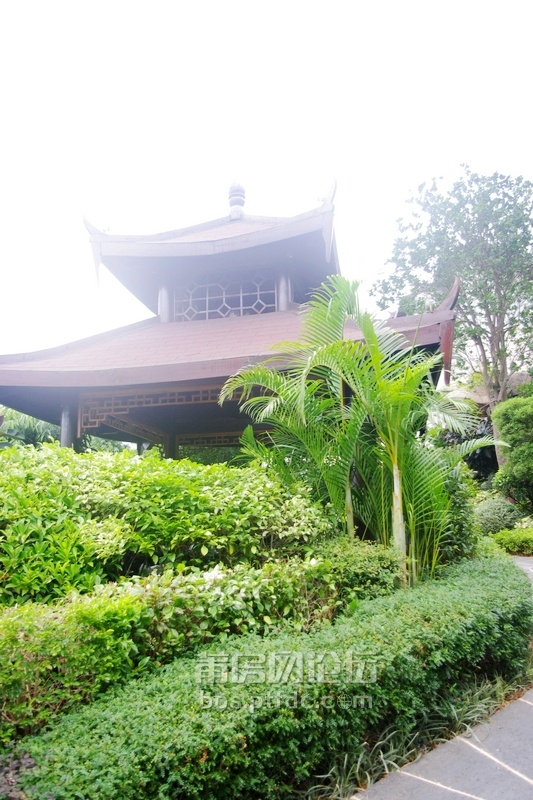 9 (3)_1.jpg