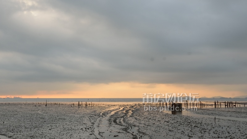 DSC_2304.JPG