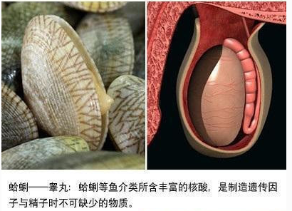 QQ截图20131006160818.png