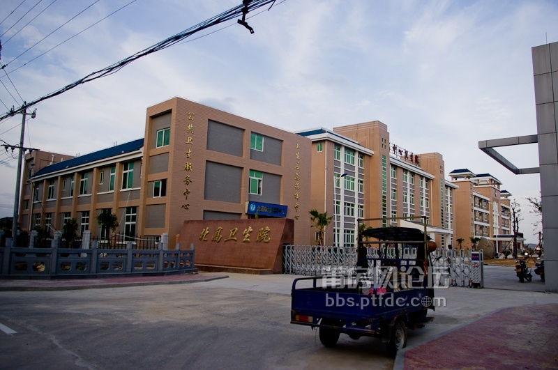 IMGP3615.jpg