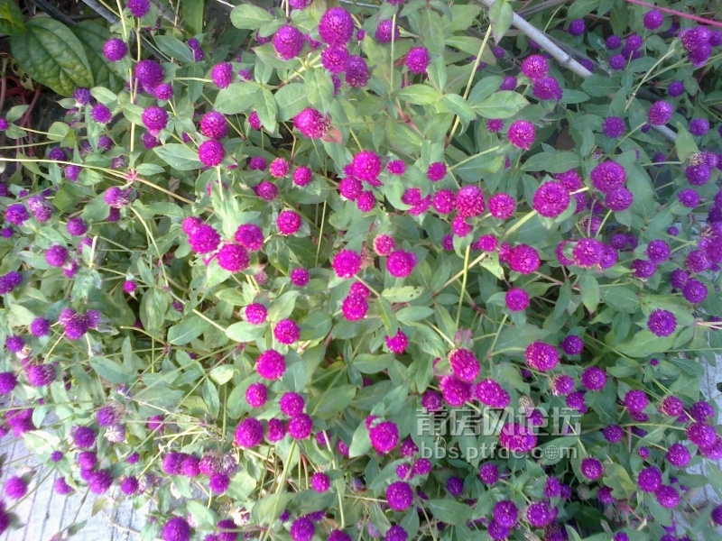 201310182103.jpg