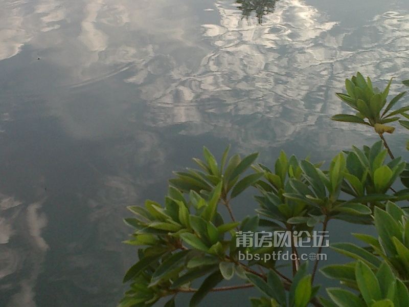 201310182109.jpg