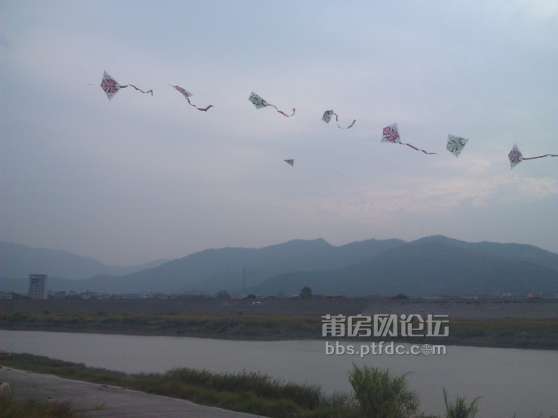 IMG_20131027_161301.jpg