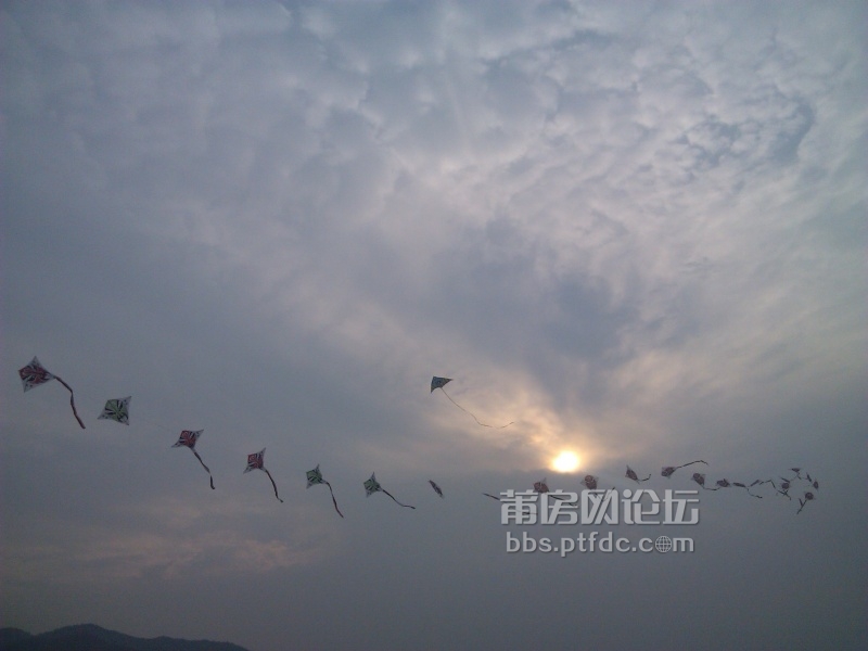 IMG_20131027_161235.jpg