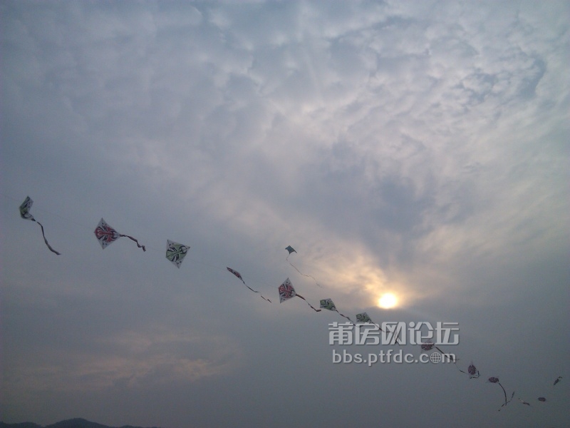IMG_20131027_161230.jpg