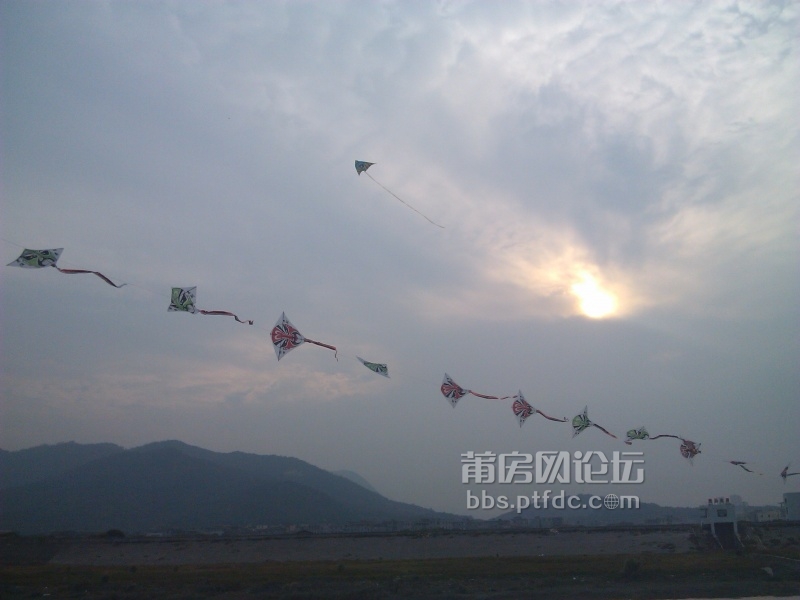 IMG_20131027_161217.jpg