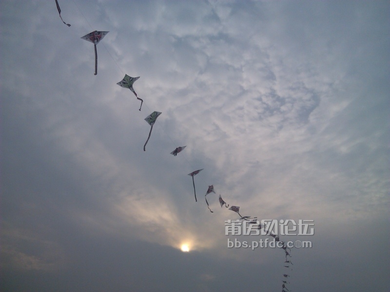 IMG_20131027_161314.jpg