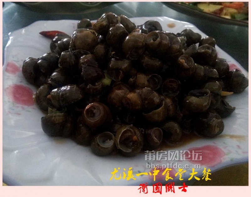 20131117_120054.jpg