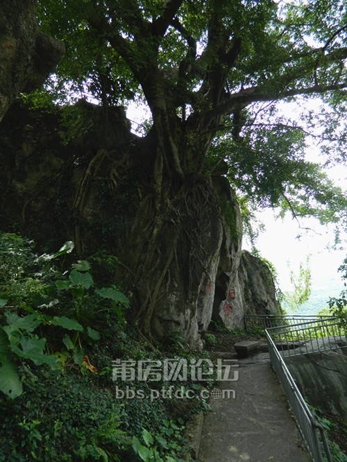 照片 1389.jpg