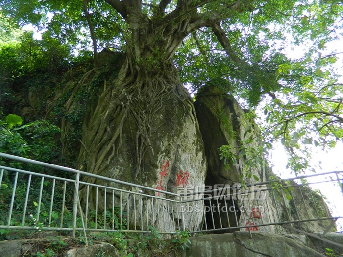照片 1394.jpg