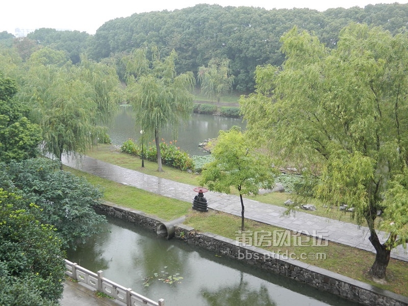 照片A 465.jpg