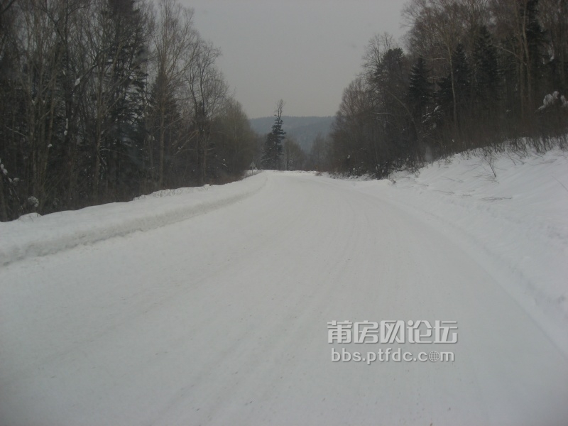 下长白山后前往延吉，北方的司机走这种雪路如南方司机走水泥路一样平稳，路上全是林海雪原