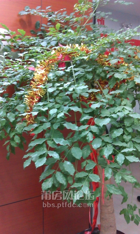 IMAG0357.jpg
